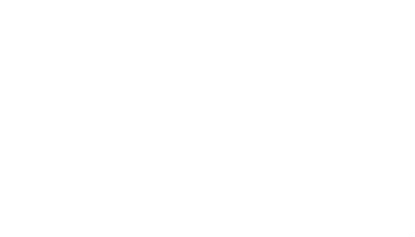 IECL - Institute of Executive Coaching and Leadership